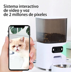 Comedero Automatico 3,5L