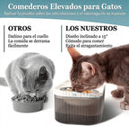Comedero y bebedero de mascotas con fuente