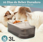 Comedero y bebedero de mascotas con fuente