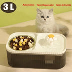 Comedero y bebedero de mascotas con fuente