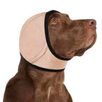 Orejeras Antirruido para Perros – Impermeables y Ajustables