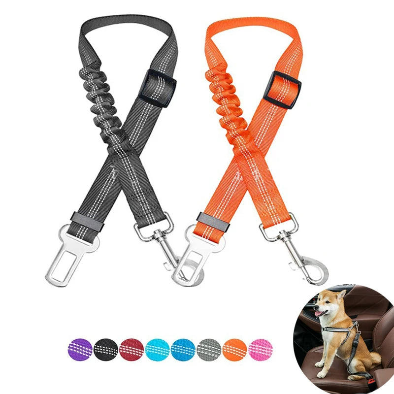 Cinturón De Seguridad Para Mascotas
