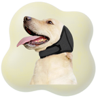 Orejeras Antirruido para Perros – Impermeables y Ajustables