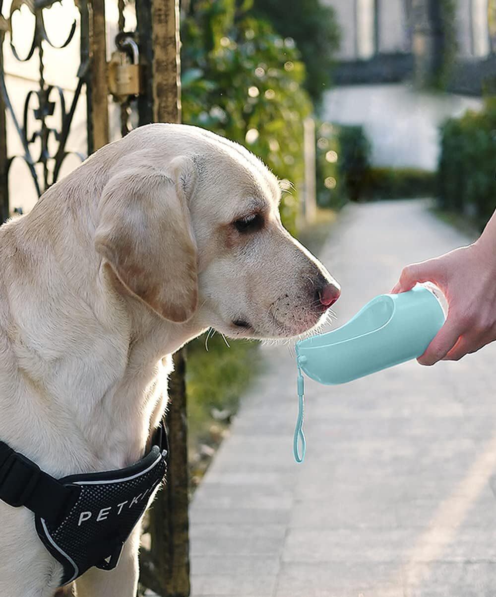 Botella de Agua Portátil para Mascotas